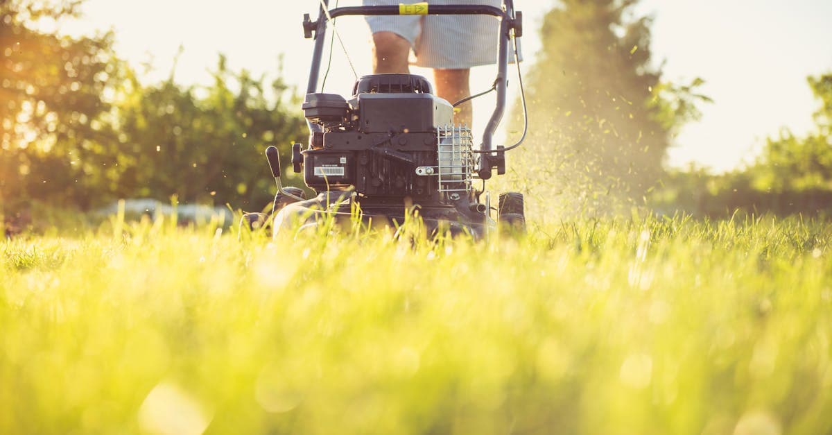 Garden maintenance